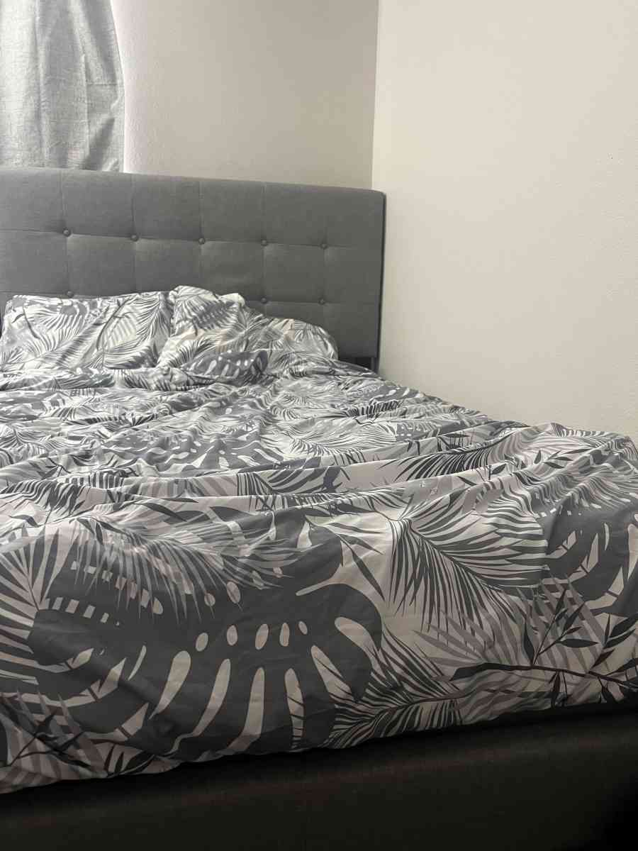 bed frame - Colorado Springs, Colorado