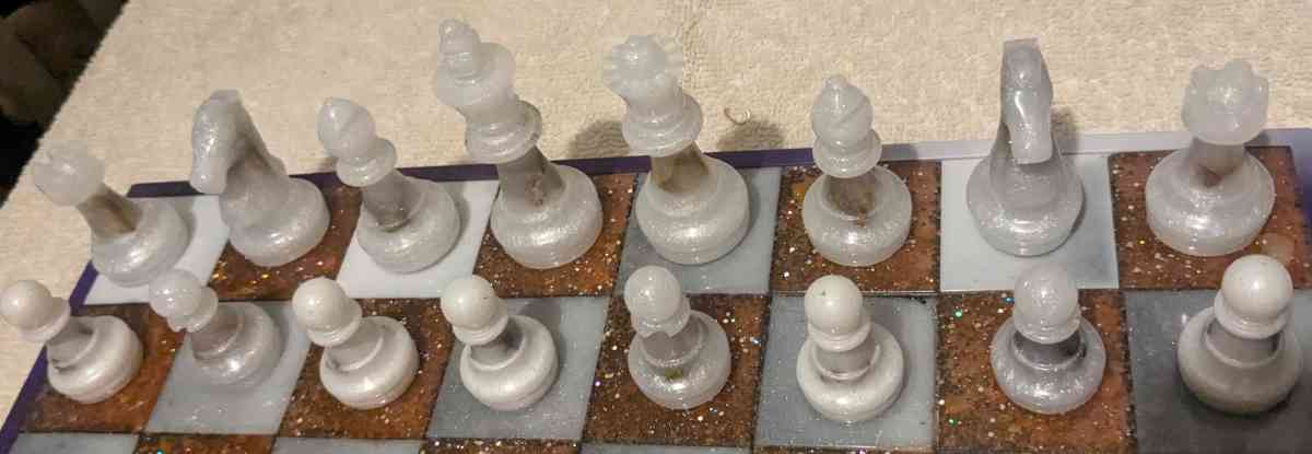 Petrified Wood Chess Set - Calhan, Colorado - FleaMarketBay