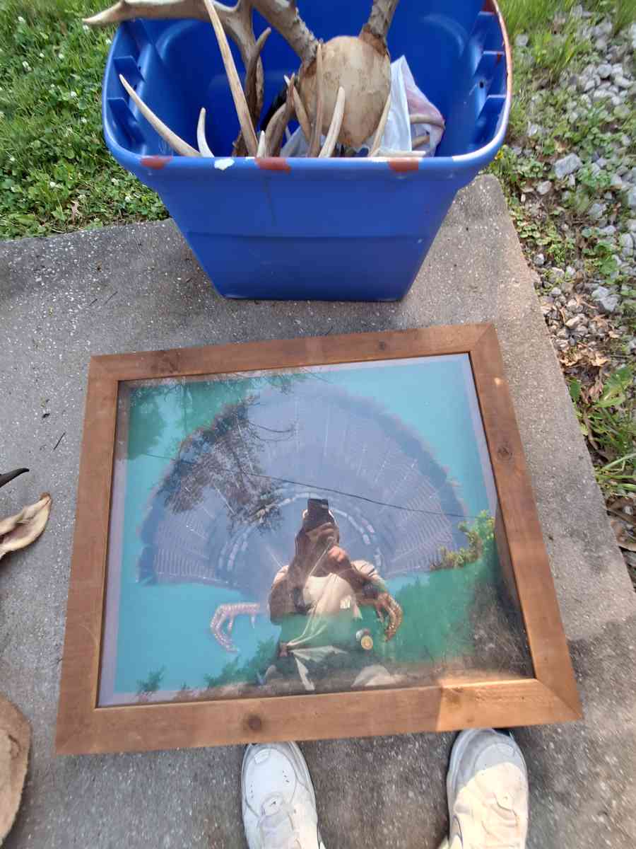 Deer mounts and others - Independence, Missouri - FleaMarketBay