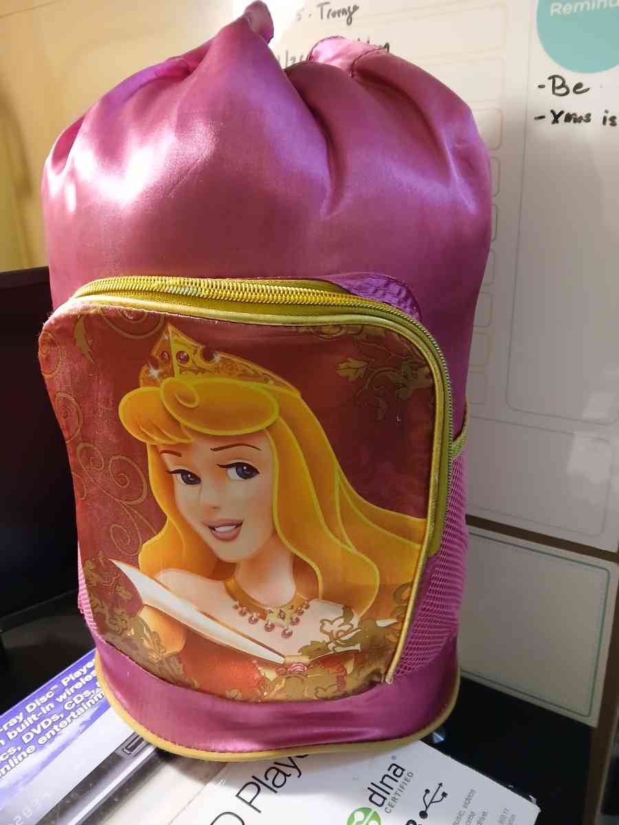 Princess Aurora sleeping bag - Indianapolis, Indiana - FleaMarketBay