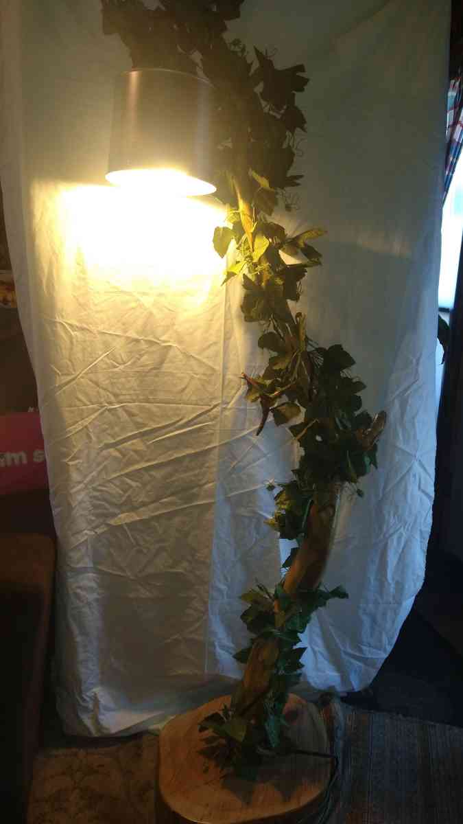 Sycamore Floor Lamp - Grafton, Illinois - FleaMarketBay