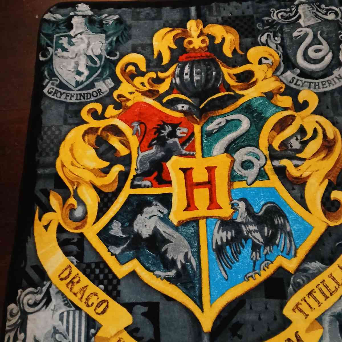 Harry Potter Blanket - Indianapolis, Indiana - FleaMarketBay