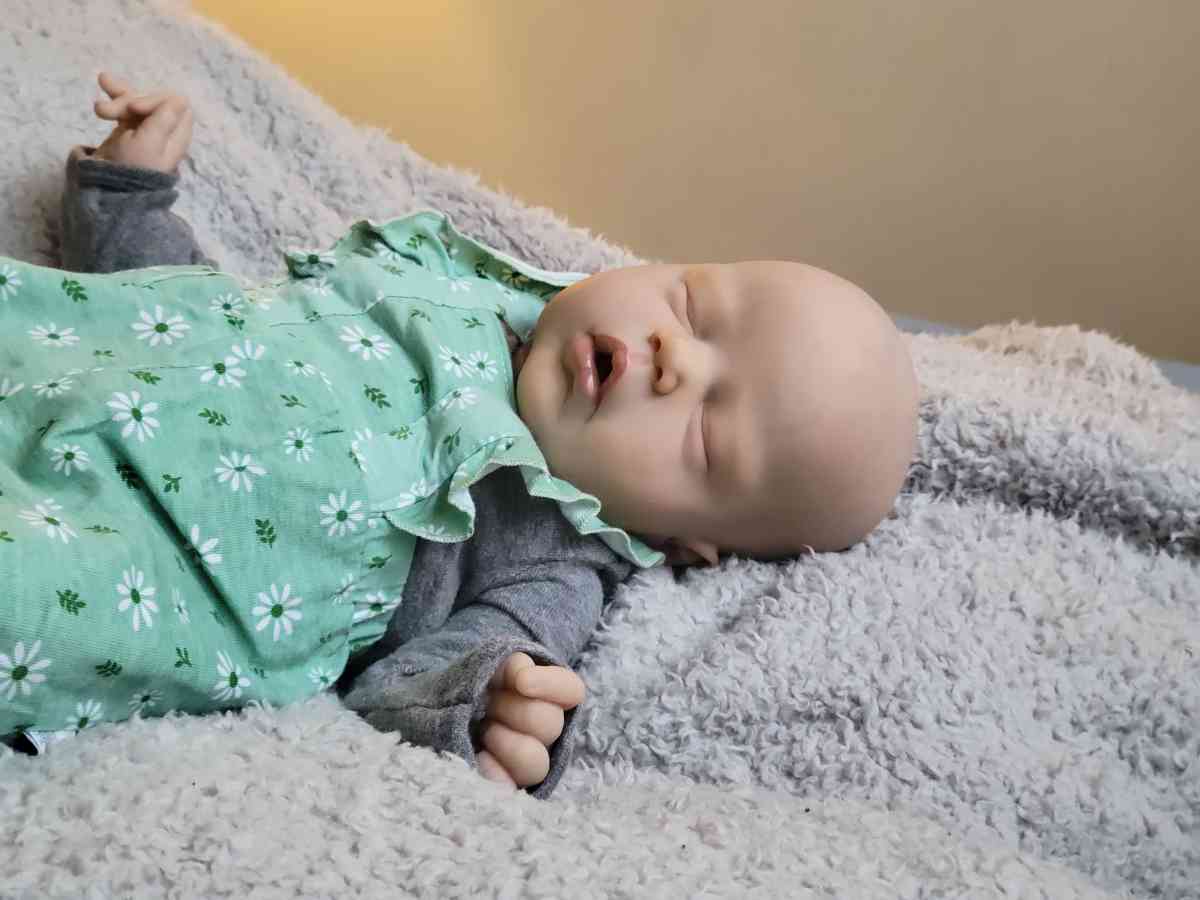 Reborn Baby Doll Alexis by Cassie Brace - Niles, Ohio