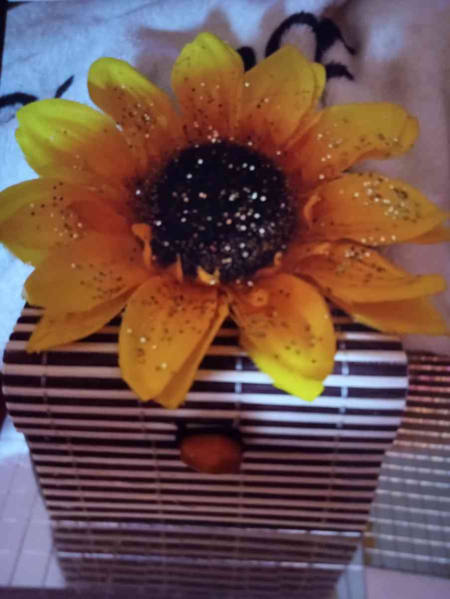 Flower Box - Stanton, Kentucky