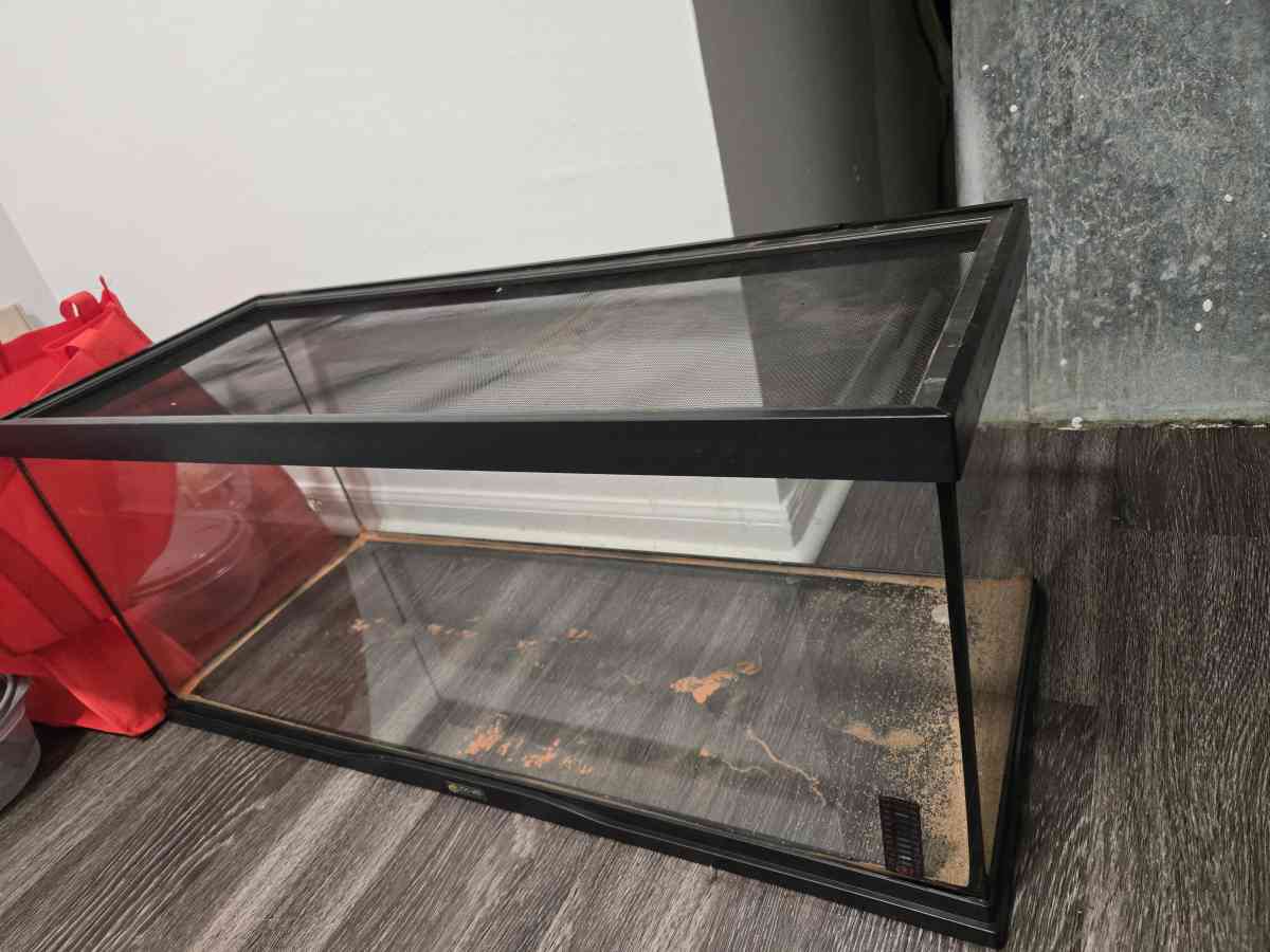 Terrarium - Gainesville, Georgia