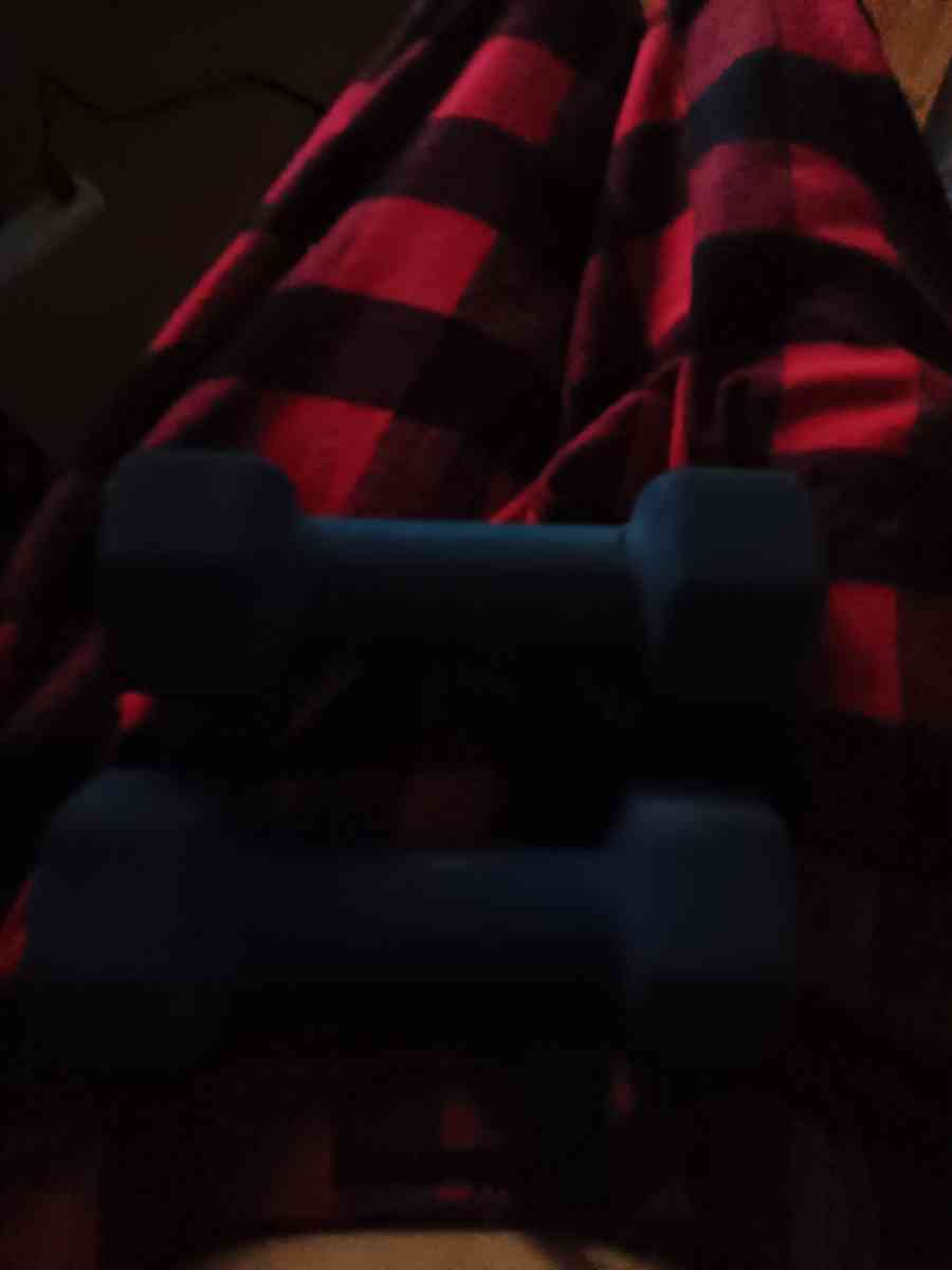 two 5 pound weights - Jermyn, Pennsylvania