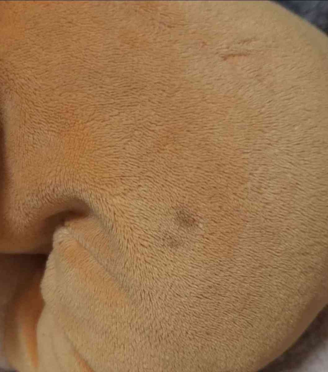 Disney Lady And The Tramp Plushes - Kansas City, Missouri - FleaMarketBay