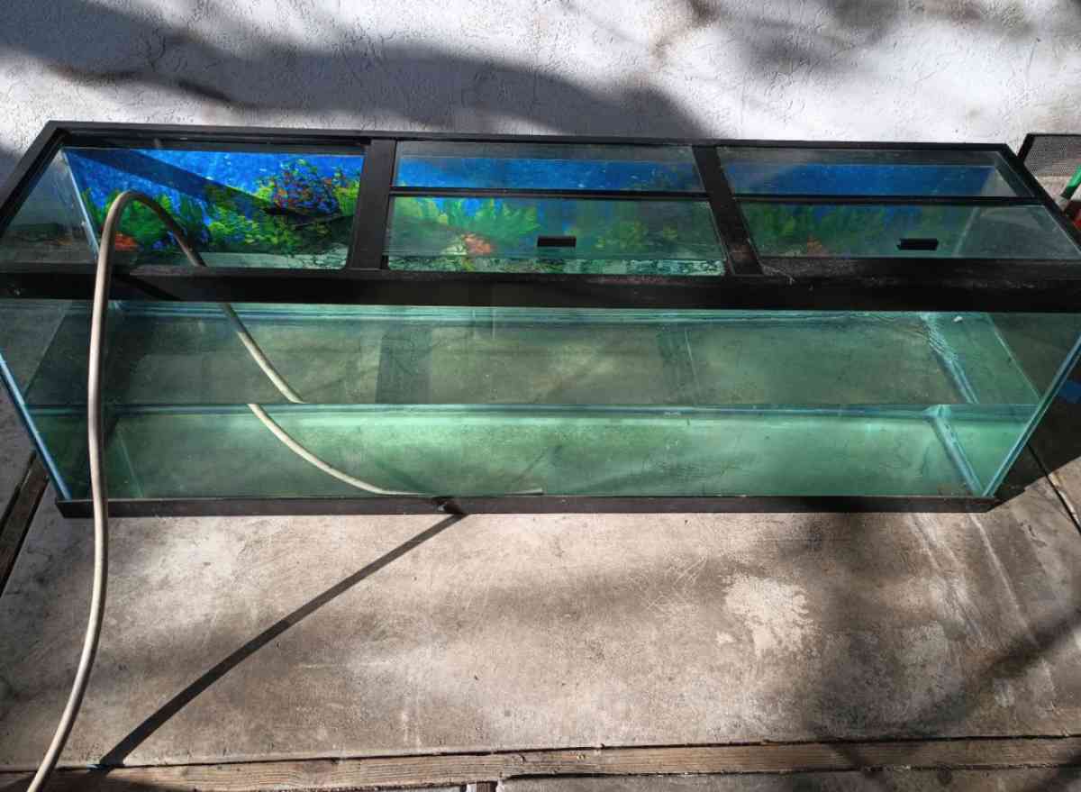125 Gallon Fish Aquarium - Hayward, California