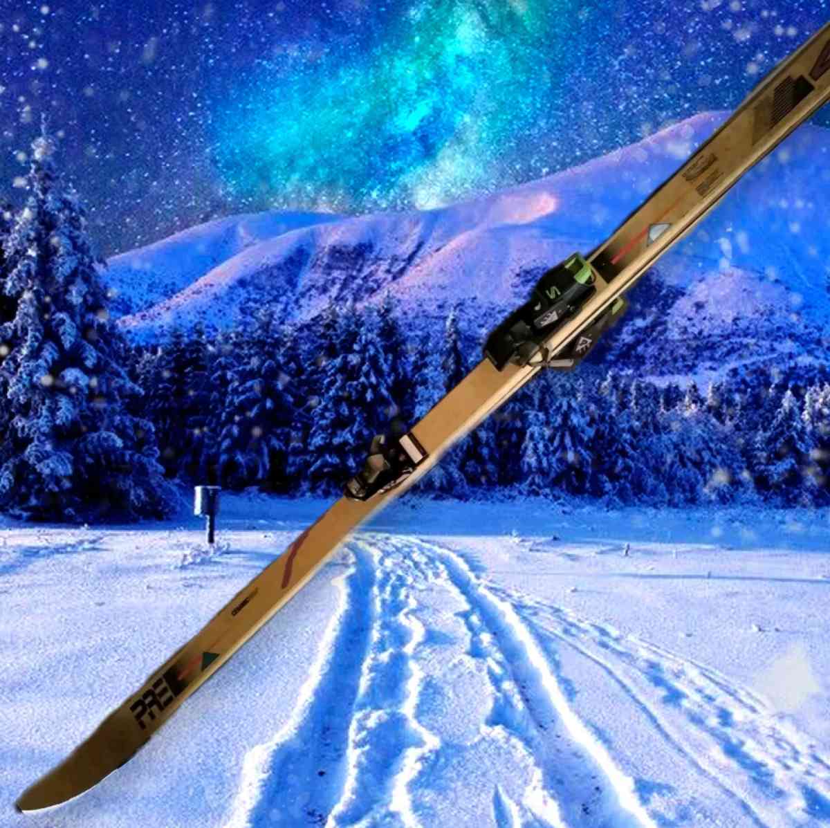 PRE Precision USA Snow Skis  Marker Ceramic Brand Salomon Sn - Farmingdale, New York - FleaMarketBay