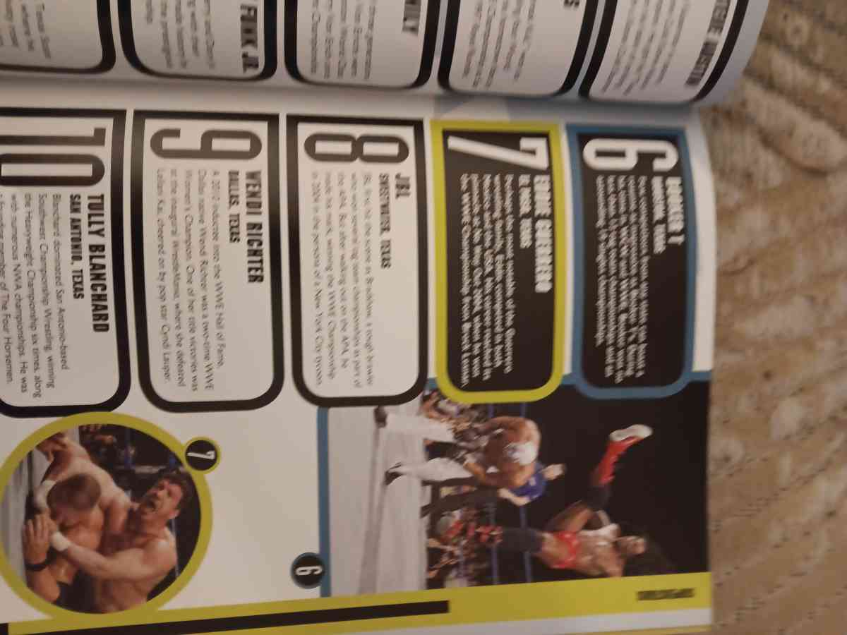 the wwe book of top 10s title matches epic rivalries more - Jermyn, Pennsylvania - FleaMarketBay
