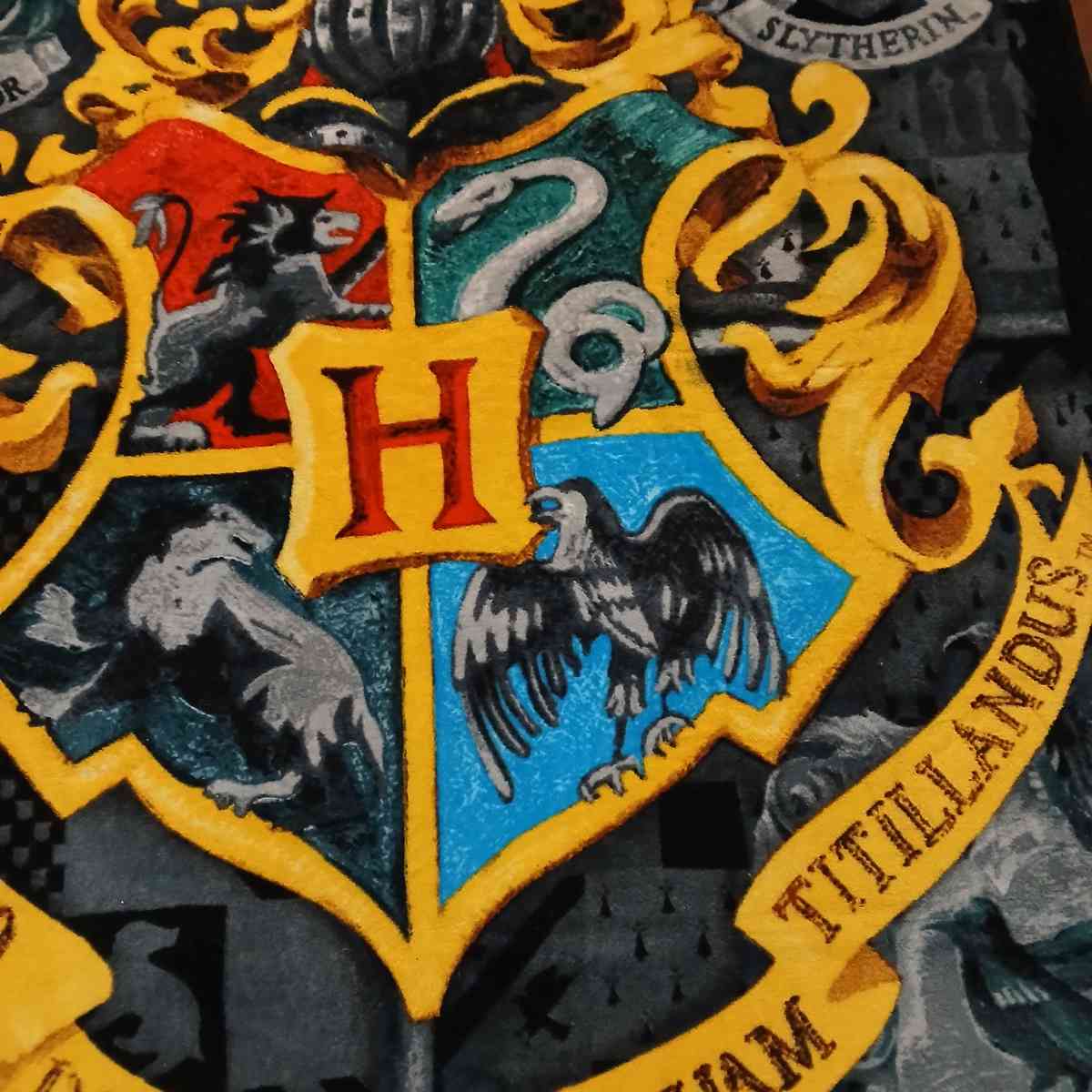 Harry Potter Blanket - Indianapolis, Indiana - FleaMarketBay