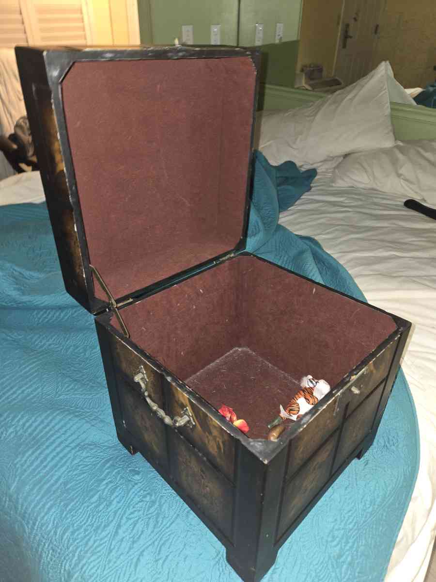 unique chest - Tavares, Florida - FleaMarketBay