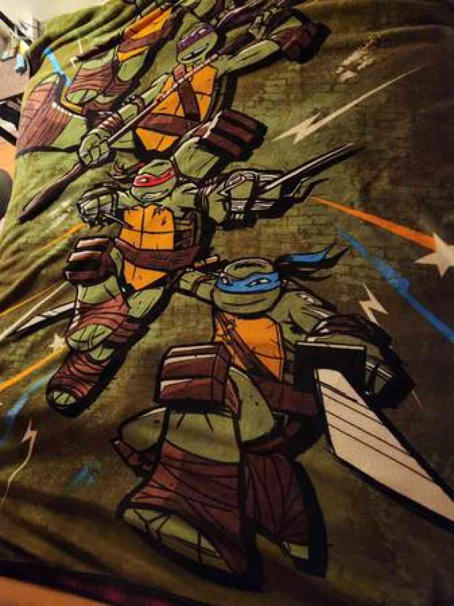 Teenage Mutant Ninja Turtles blanket - Clinton, Massachusetts