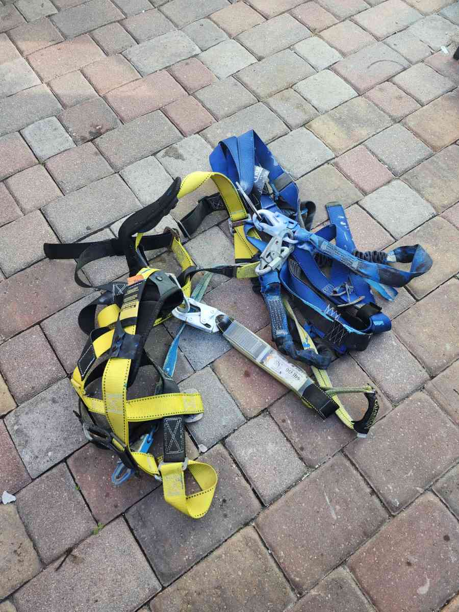 2  harness - West Palm Beach, Florida
