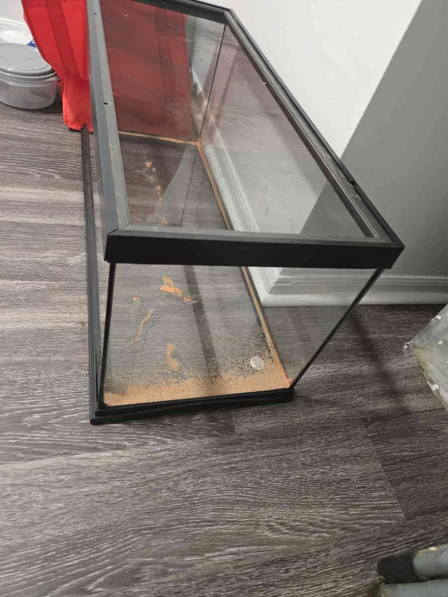 Terrarium - Gainesville, Georgia - FleaMarketBay