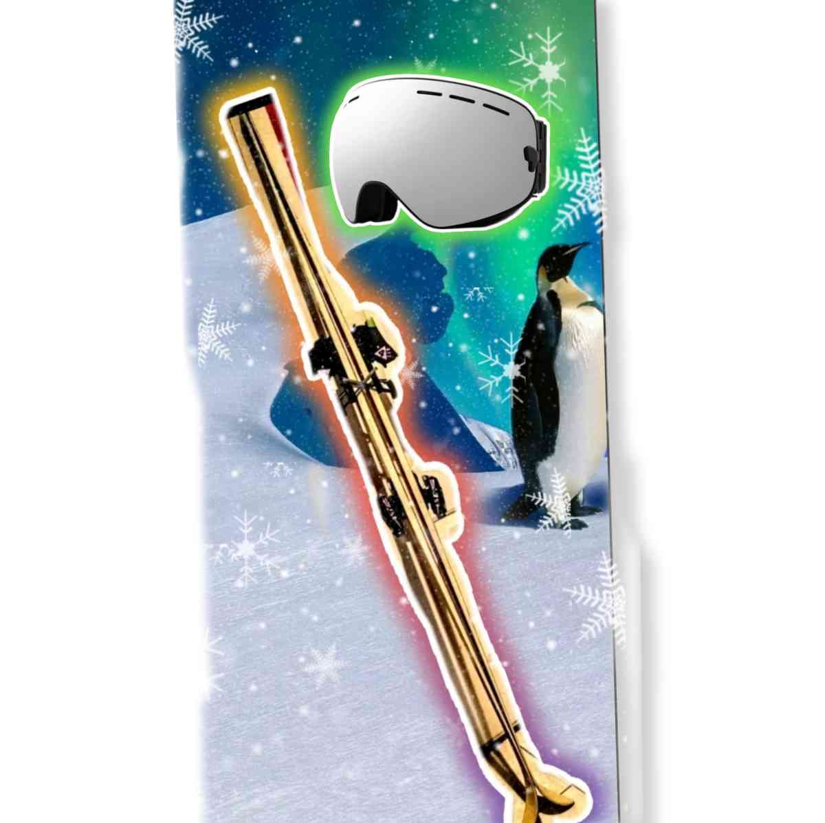 PRE Precision USA Snow Skis  Marker Ceramic Brand Salomon Sn - Farmingdale, New York