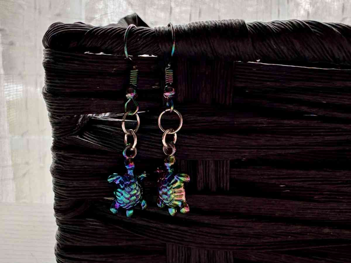 Rainbow Turtle Earrings - Fort Wayne, Indiana