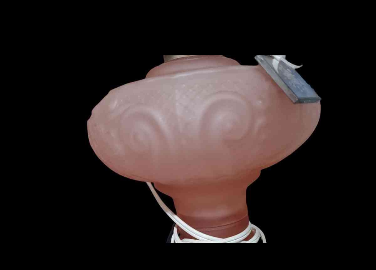 B  P PRINCESS FEATHER OIL LAMP COVERTED TO ELECTRIC - Kansas City, Missouri - FleaMarketBay