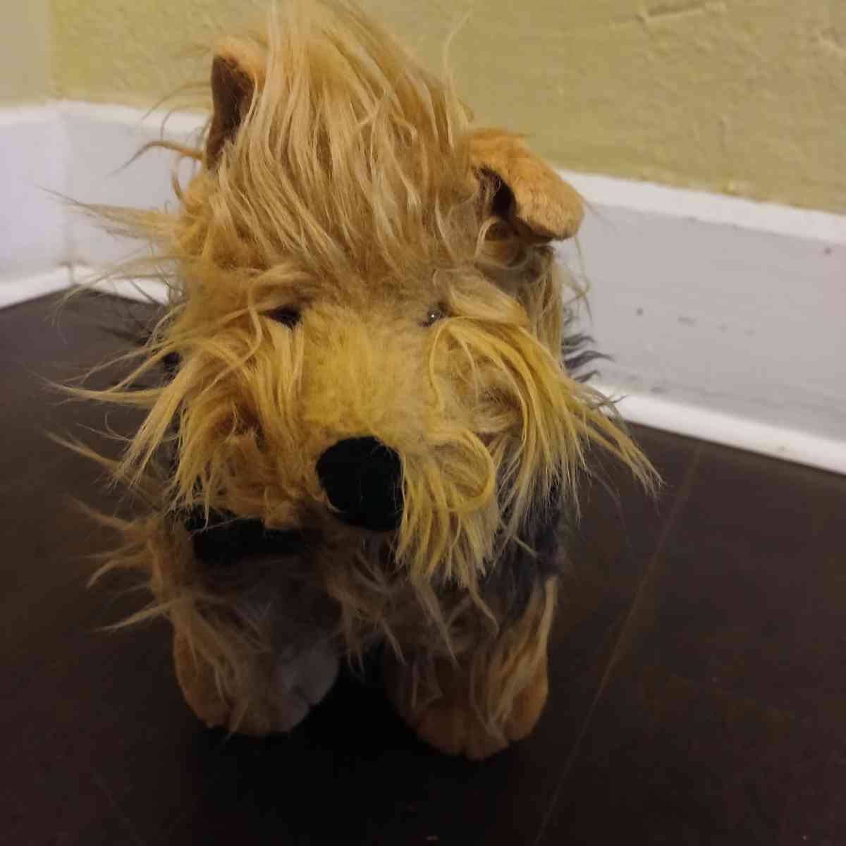 Build a Bear stuffed animal - Indianapolis, Indiana