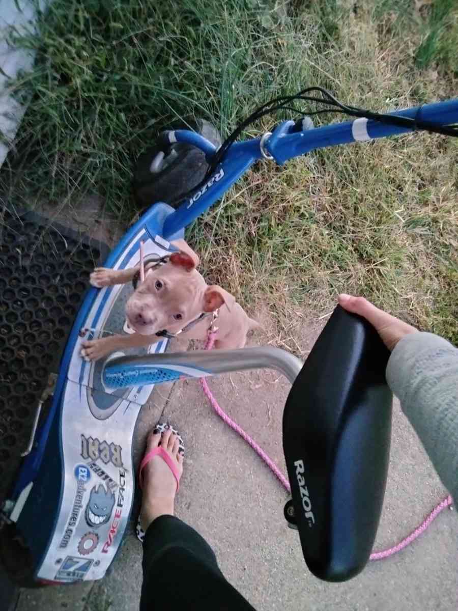 seated razor scooter e300 - Frederick, Maryland - FleaMarketBay