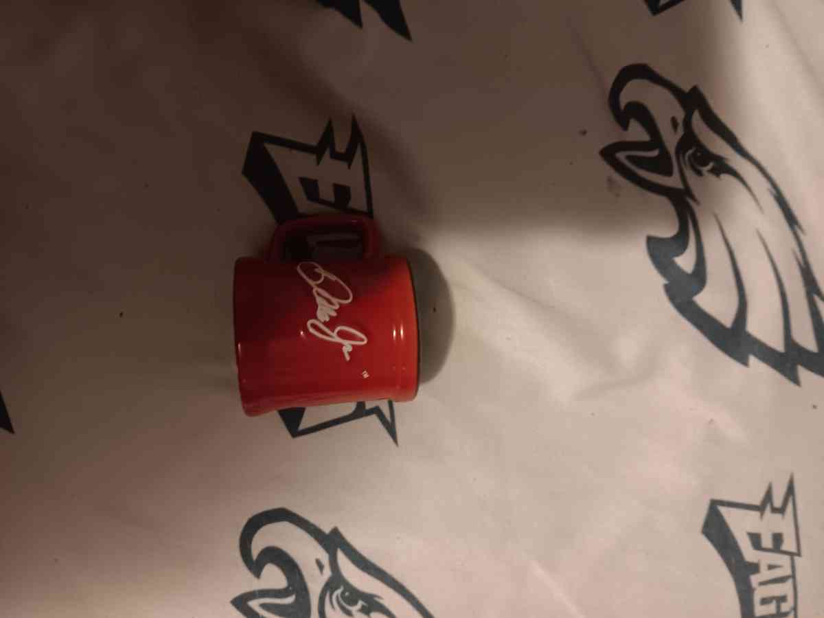 Nascar dale earnhardt collectible mini mug - Jermyn, Pennsylvania