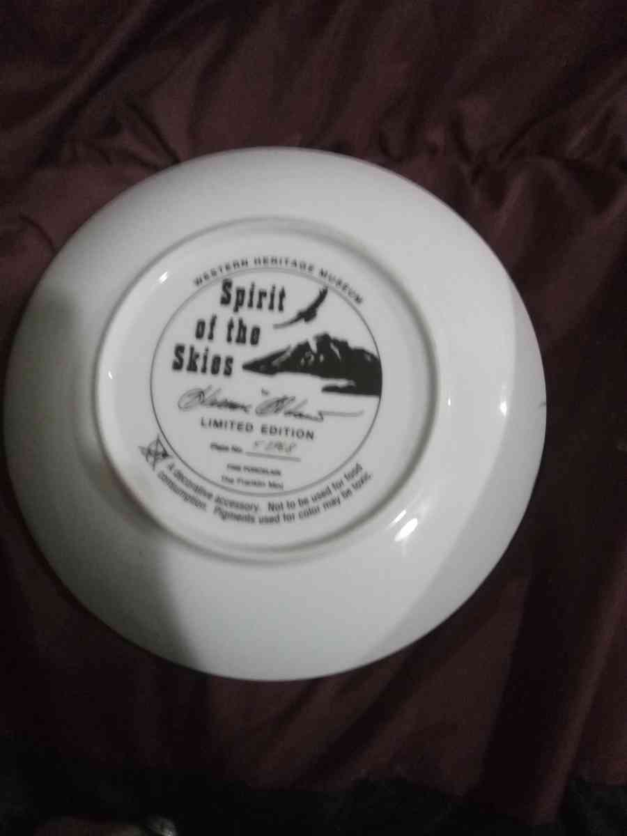 native American decorative plates Hamilton collection - Clinton, Iowa - FleaMarketBay