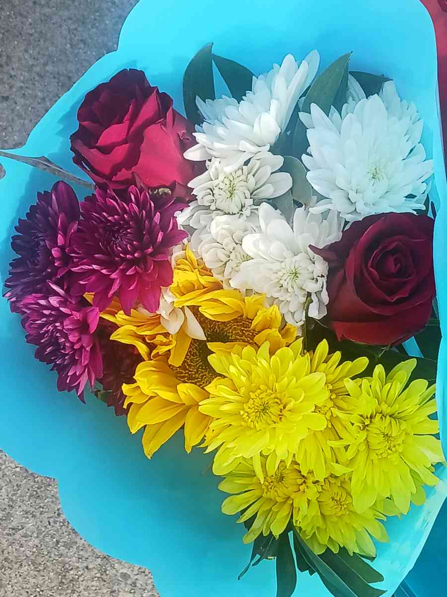 flores - Los Gatos, California