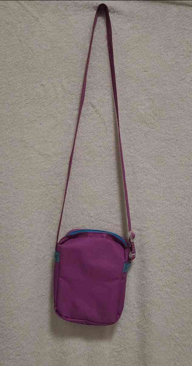 RARE Girls Paw Patrol Skye Purple Crossbody Bag - Kansas City, Missouri - FleaMarketBay