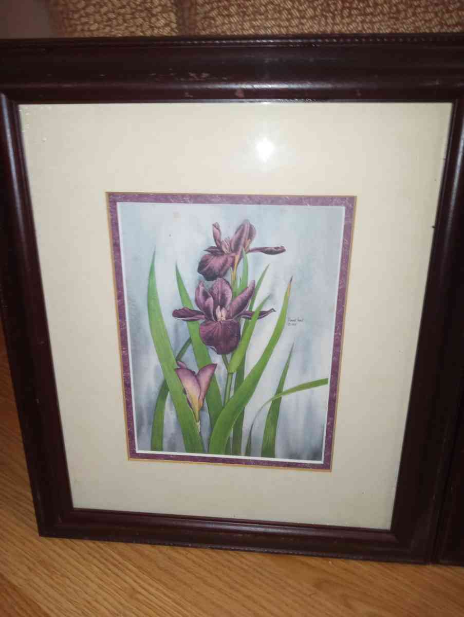 a set of beautiful lilies to add to ur home - Cottondale, Alabama - FleaMarketBay