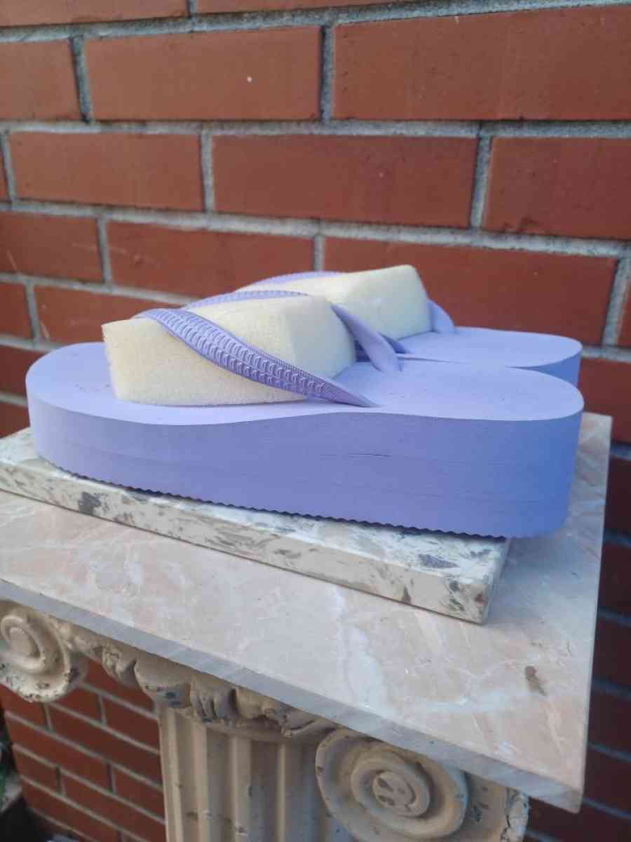 flip flop - Lake Alfred, Florida