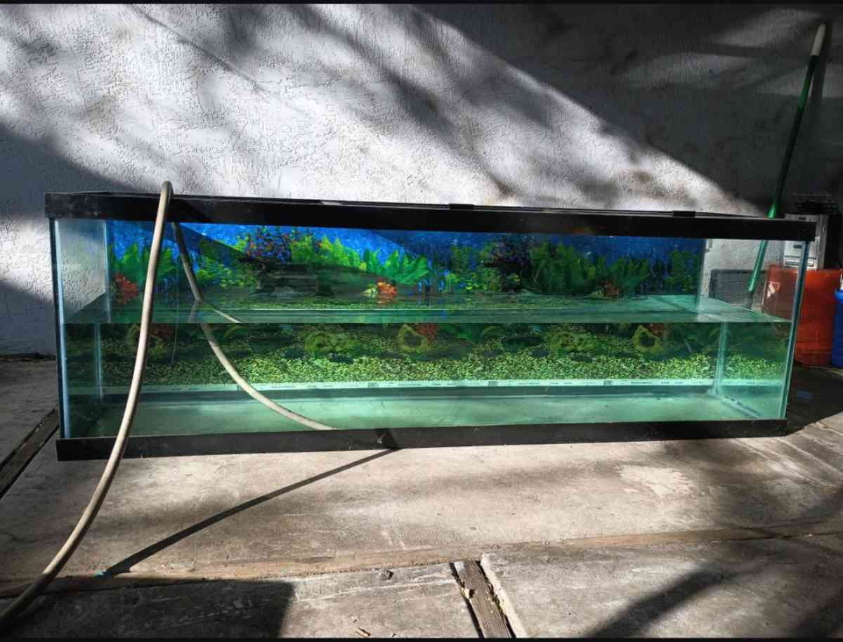 125 Gallon Fish Aquarium - Hayward, California - FleaMarketBay