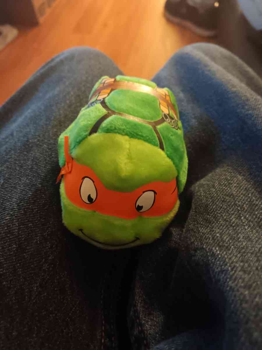 teenage mutant ninja turtle mini plush - Jermyn, Pennsylvania
