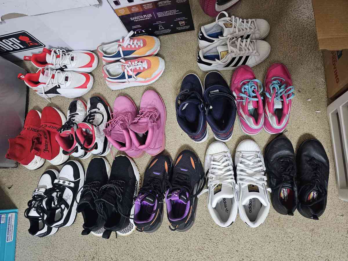 Zapatos - Tampa, Florida