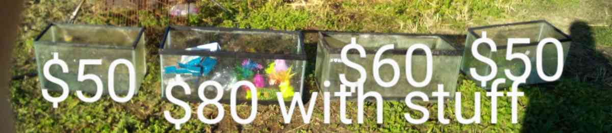 fish tanks and stuff - Broussard, Louisiana - FleaMarketBay