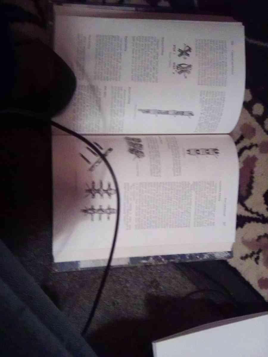 Camp Counseling - Louisiana, Missouri - FleaMarketBay