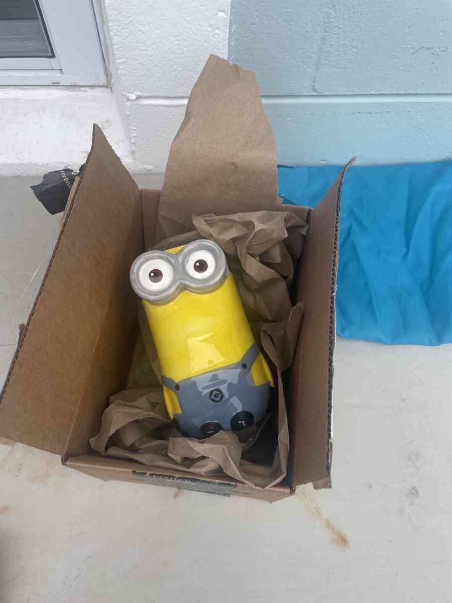 ZAK Minions Ceramics Cup - Kissimmee, Florida - FleaMarketBay