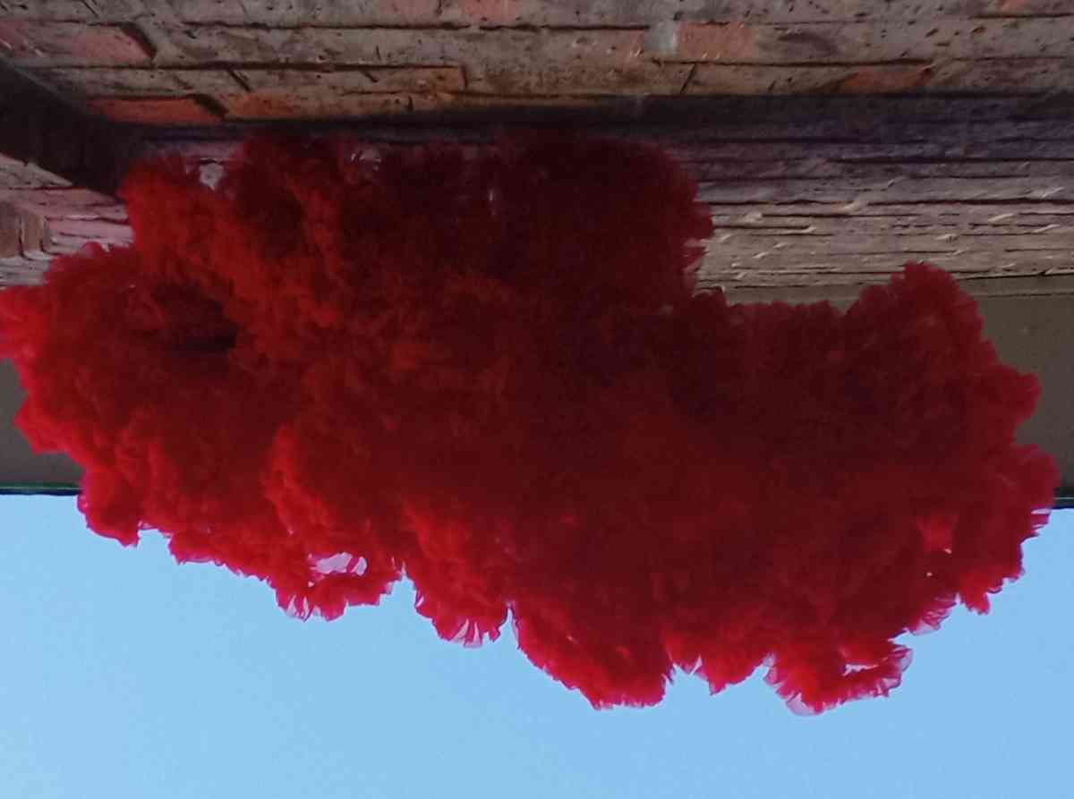 4 to 5yrs Red TuTu Pettiskirt NWT Button Cinchers - Dallas, Texas - FleaMarketBay