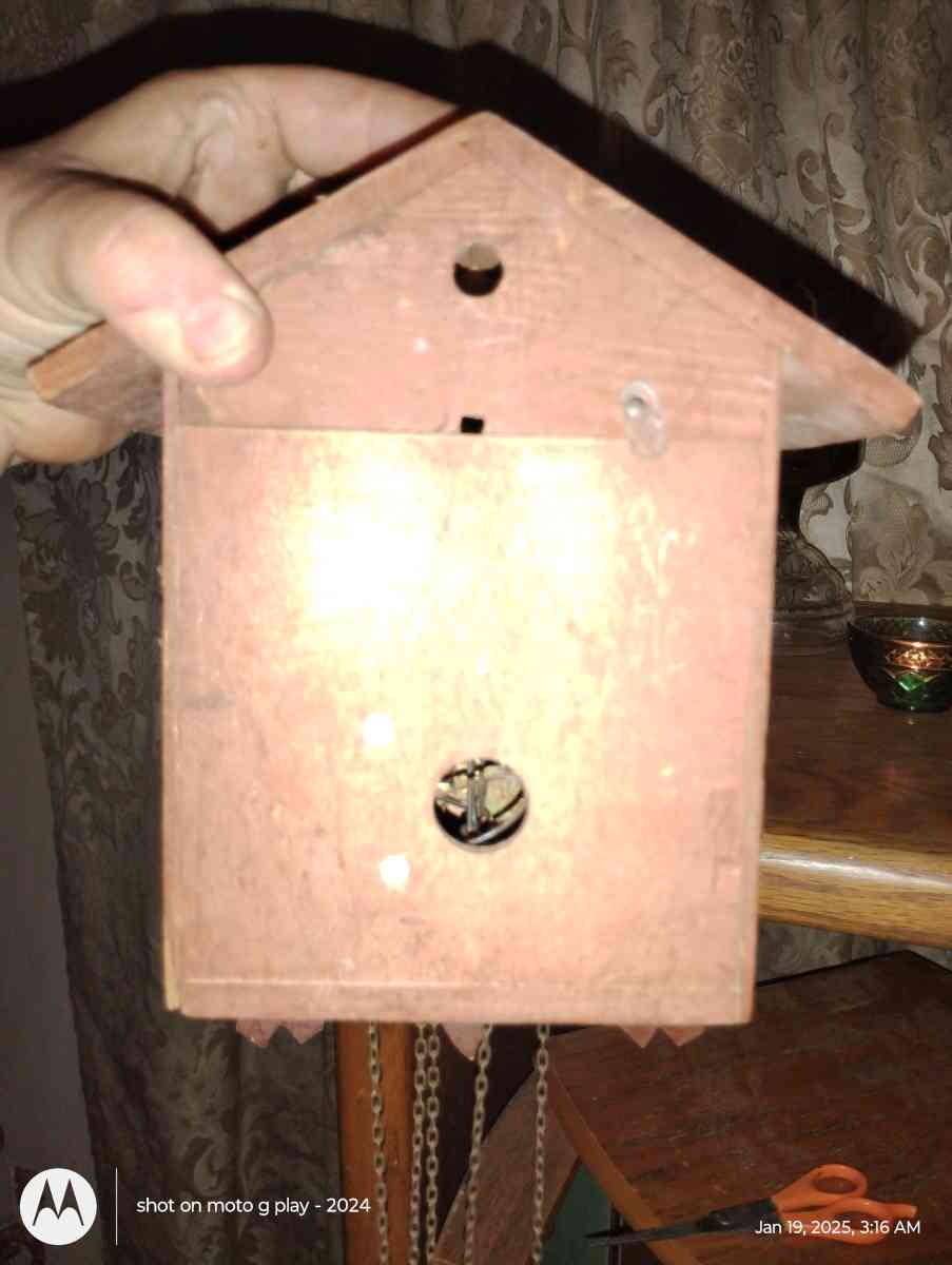 cuckoo cloak - Pine Grove, Louisiana - FleaMarketBay