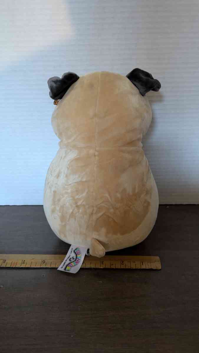 Squishmallows Hug Mees Valentines Pug Dog Holding Pink Heart - Phoenix, Arizona - FleaMarketBay