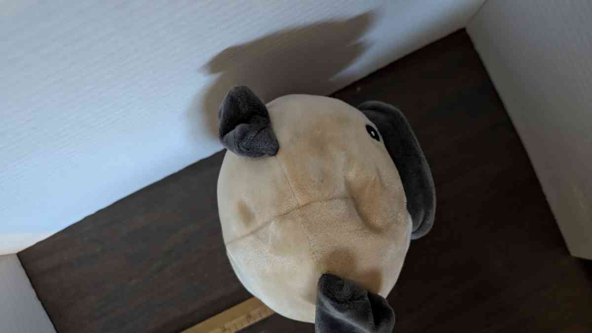 Squishmallows Hug Mees Valentines Pug Dog Holding Pink Heart - Phoenix, Arizona - FleaMarketBay