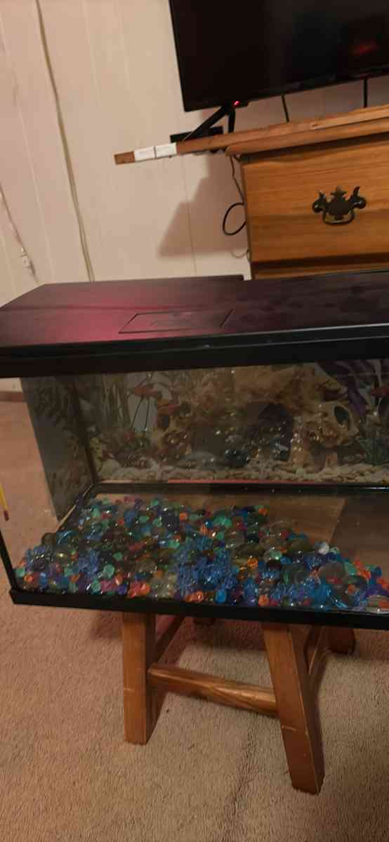 medium size fish tank - Abington, Pennsylvania