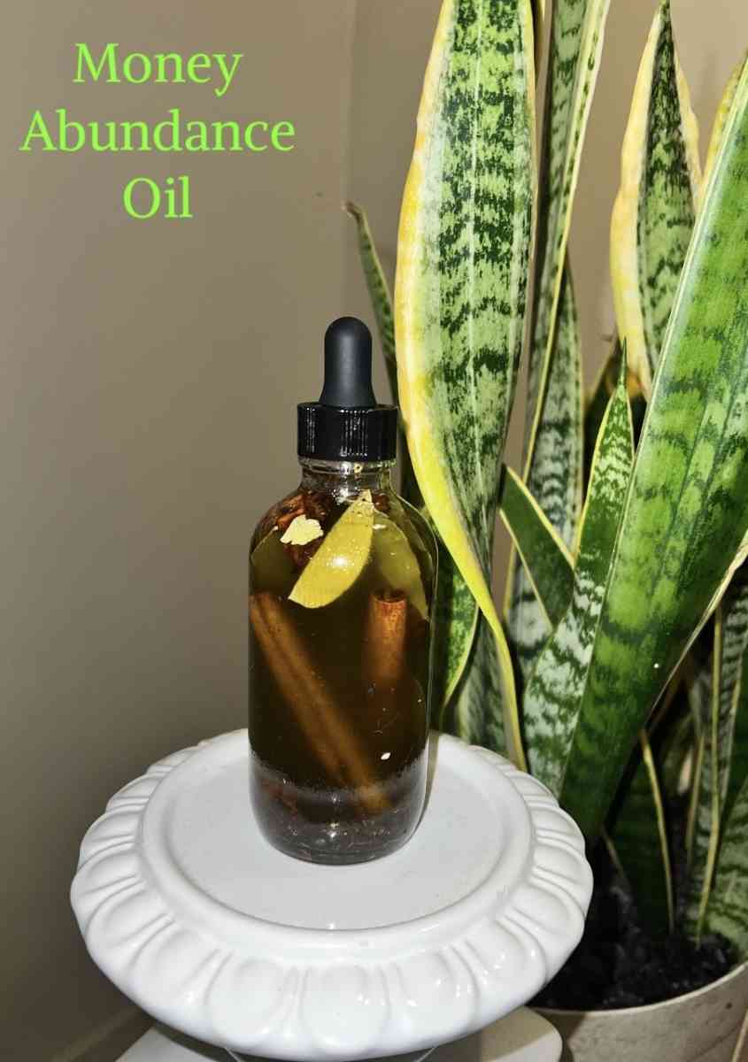 MONEY ABUNDANCE OUL - Brooklyn, New York