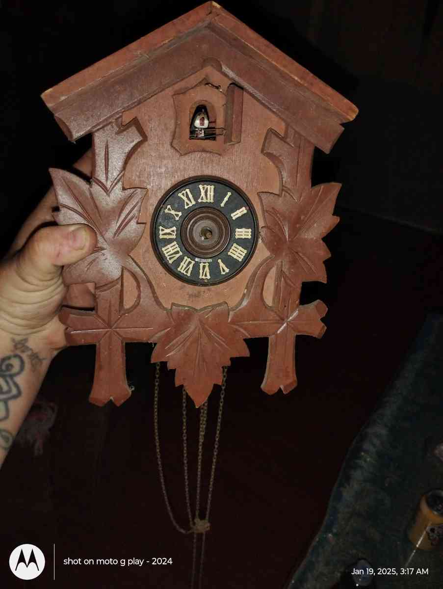 cuckoo cloak - Pine Grove, Louisiana