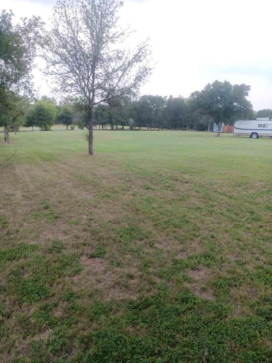 lawn care - Austin, Texas - FleaMarketBay