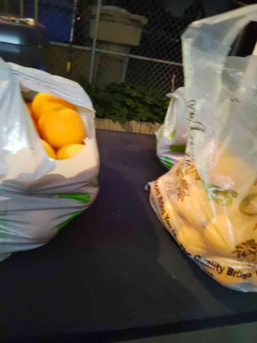 orange for sale Fresh