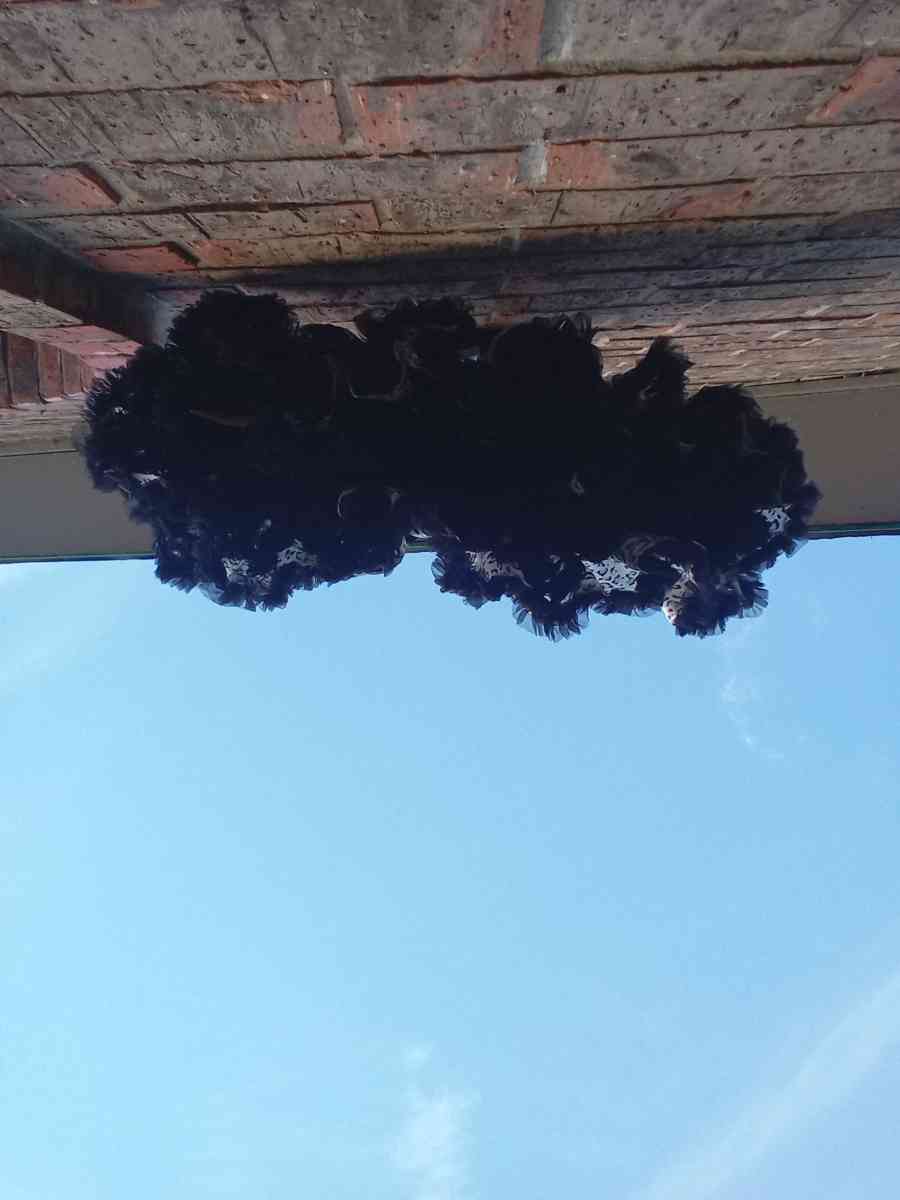 2 to 3yrs Leopard Print TuTu Pettiskirt NWOT - Dallas, Texas - FleaMarketBay