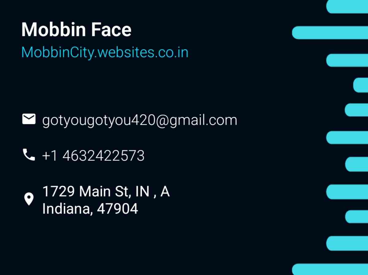 owner professional movers