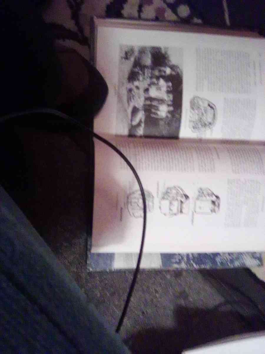 Camp Counseling - Louisiana, Missouri - FleaMarketBay