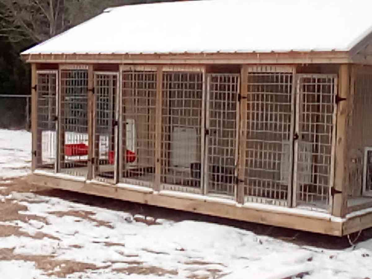 4Bay Dog kennel for breading o - Florence, South Carolina