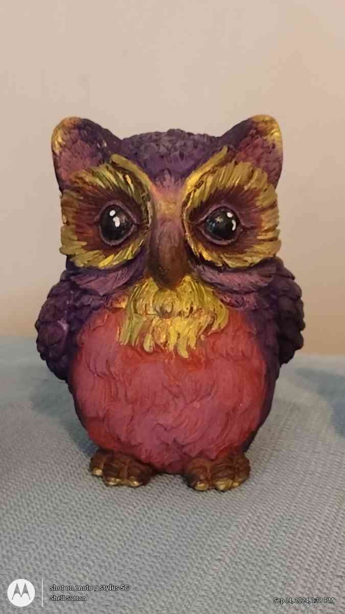 Raibow owls decor - Virginia Beach, Virginia - FleaMarketBay